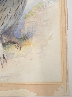 Lot 257 - Archibald Thorburn (1860-1935)