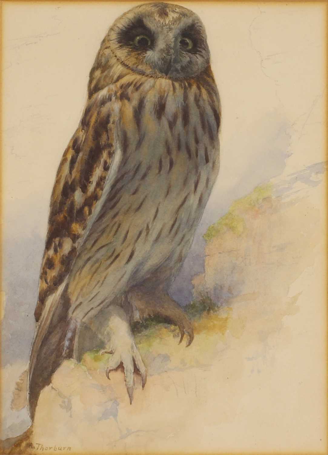 Lot 257 - Archibald Thorburn (1860-1935)