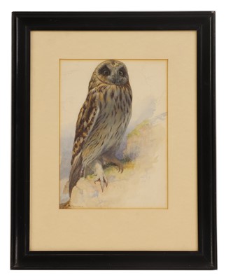 Lot 257 - Archibald Thorburn (1860-1935)