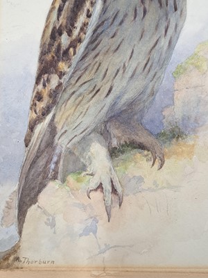 Lot 257 - Archibald Thorburn (1860-1935)