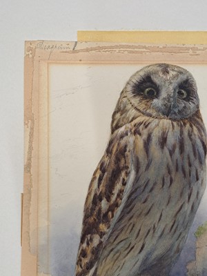 Lot 257 - Archibald Thorburn (1860-1935)