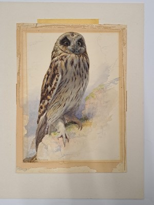 Lot 257 - Archibald Thorburn (1860-1935)