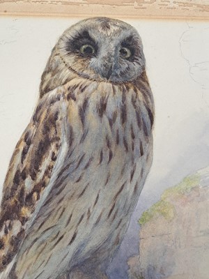 Lot 257 - Archibald Thorburn (1860-1935)