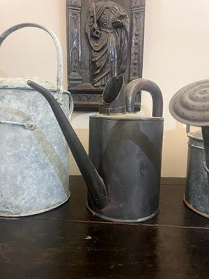 Lot 363 - A quantity of metal watering cans