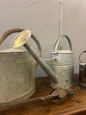 Lot 363 - A quantity of metal watering cans