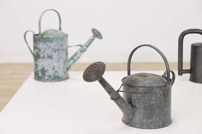 Lot 363 - A quantity of metal watering cans