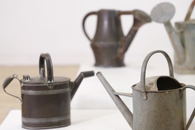 Lot 363 - A quantity of metal watering cans