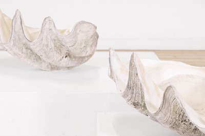 Lot 458 - A pair of giant clam shells (Tridacna gigas)
