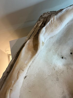 Lot 458 - A pair of giant clam shells (Tridacna gigas)