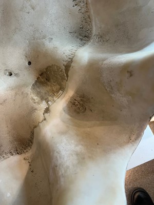 Lot 458 - A pair of giant clam shells (Tridacna gigas)