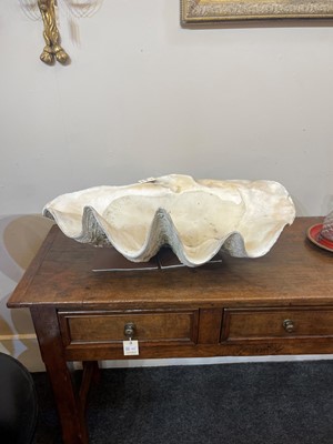 Lot 458 - A pair of giant clam shells (Tridacna gigas)