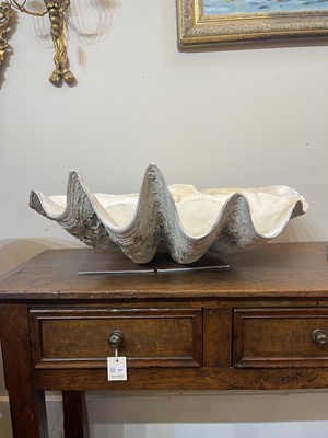 Lot 458 - A pair of giant clam shells (Tridacna gigas)