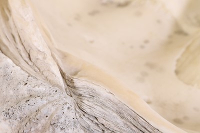 Lot 458 - A pair of giant clam shells (Tridacna gigas)