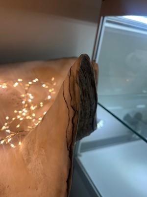 Lot 458 - A pair of giant clam shells (Tridacna gigas)