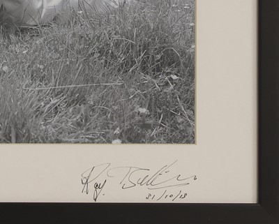 Lot 74 - Ray Bellisario (1936-2018)