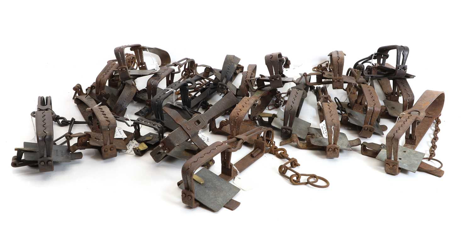 Lot 438 - A large quantity of twenty one gin traps