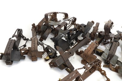 Lot 438 - A large quantity of twenty one gin traps