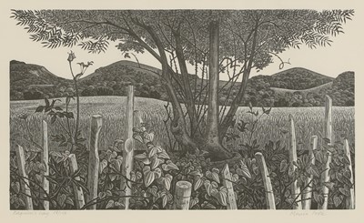 Lot 67 - Monica Poole (1921-2003)