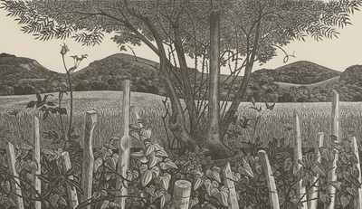 Lot 67 - Monica Poole (1921-2003)