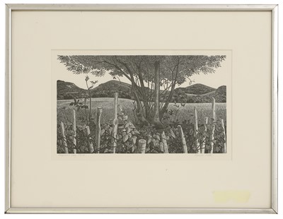 Lot 67 - Monica Poole (1921-2003)