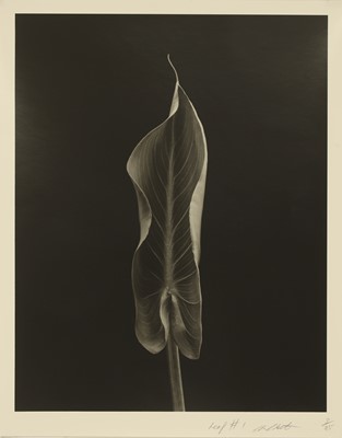 Lot 305 - Chris Cheetham (b.1951)