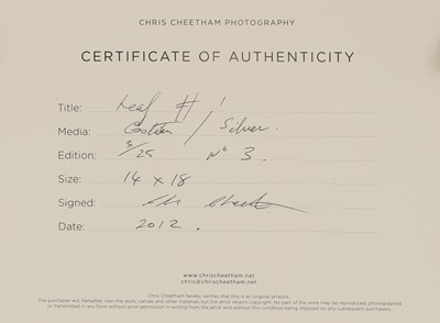 Lot 305 - Chris Cheetham (b.1951)