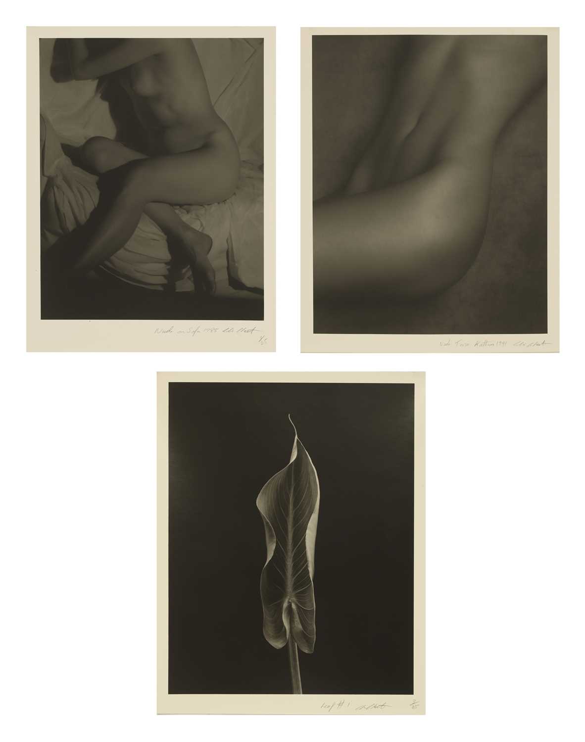 Lot 305 - Chris Cheetham (b.1951)