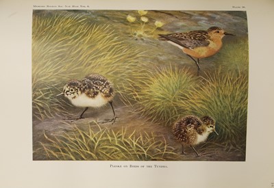 Lot 94 - Pleske, Theodor D: 1- Ornithographia Rossica; Die vogelfauna des Russischen Reichs.