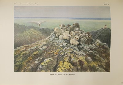 Lot 94 - Pleske, Theodor D: 1- Ornithographia Rossica; Die vogelfauna des Russischen Reichs.