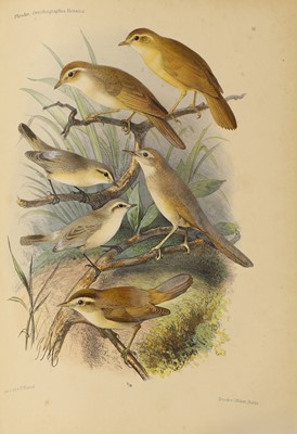 Lot 94 - Pleske, Theodor D: 1- Ornithographia Rossica; Die vogelfauna des Russischen Reichs.