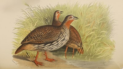 Lot 103 - 1- Hume and Marshall: The Game Birds of India, Burmah, and Ceylon, 3 Vols.
