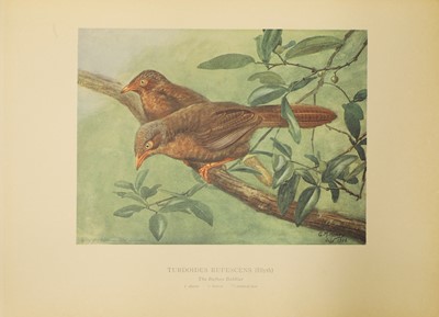 Lot 103 - 1- Hume and Marshall: The Game Birds of India, Burmah, and Ceylon, 3 Vols.