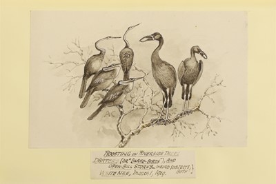 Lot 130 - UNIQUE COPY, with Five Original Drawings by the Author: CHAPMAN, Abel
