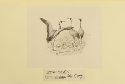 Lot 130 - UNIQUE COPY, with Five Original Drawings by the Author: CHAPMAN, Abel