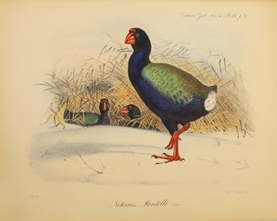 Lot 136 - PLATES: 1- Mantell & Gould: Notice of the discovery by Mr. Walter Mantell