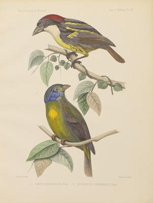 Lot 136 - PLATES: 1- Mantell & Gould: Notice of the discovery by Mr. Walter Mantell