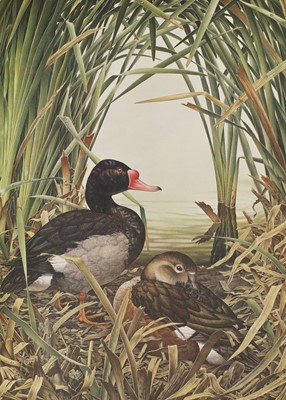 Lot 439 - Signed Limited Edn: Amuchastegui, Axel (ill): Some Birds and Mammals of South America