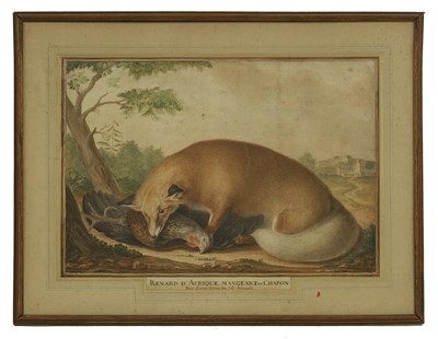 Lot 325 - Jean-Baptiste Adanson (French, 1732-1804)