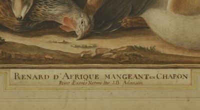 Lot 325 - Jean-Baptiste Adanson (French, 1732-1804)