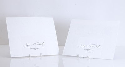 Lot 308 - Two Spencer Tunick nude art installation photographs