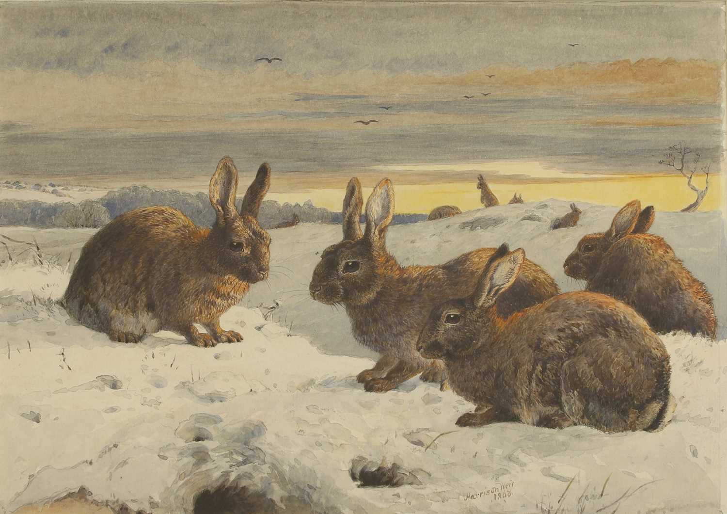 Lot 385 - Harrison Weir RI (British, 1824-1906)
