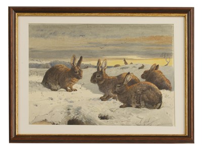 Lot 385 - Harrison Weir RI (British, 1824-1906)