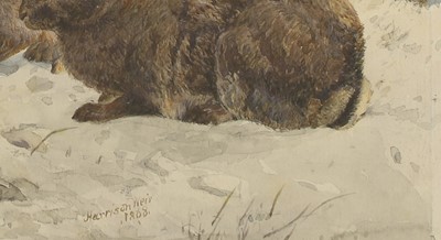 Lot 385 - Harrison Weir RI (British, 1824-1906)