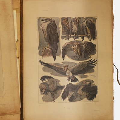 Lot 42 - Anton Seder