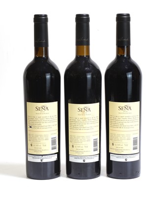 Lot 115 - Sena, Aconcagua Valley, 2010