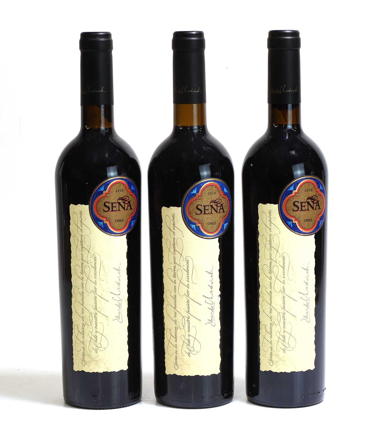 Lot 115 - Sena, Aconcagua Valley, 2010