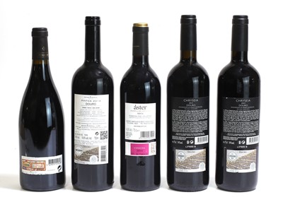 Lot 118 - A selection of Iberian red wines