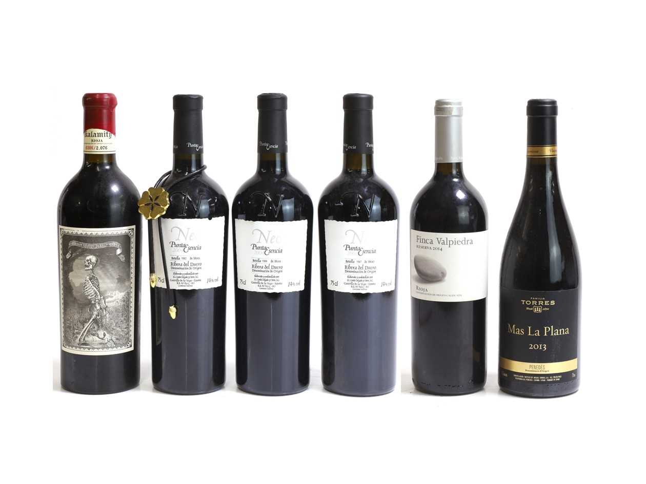 Lot 119 - A selection of Spanish red wines