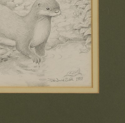 Lot 386 - Peter David Scott (British, 20th century)
