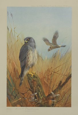 Lot 395 - Archibald Thorburn (British, 1860-1935)